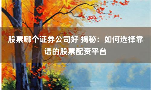 股票哪个证券公司好 揭秘：如何选择靠谱的股票配资平台