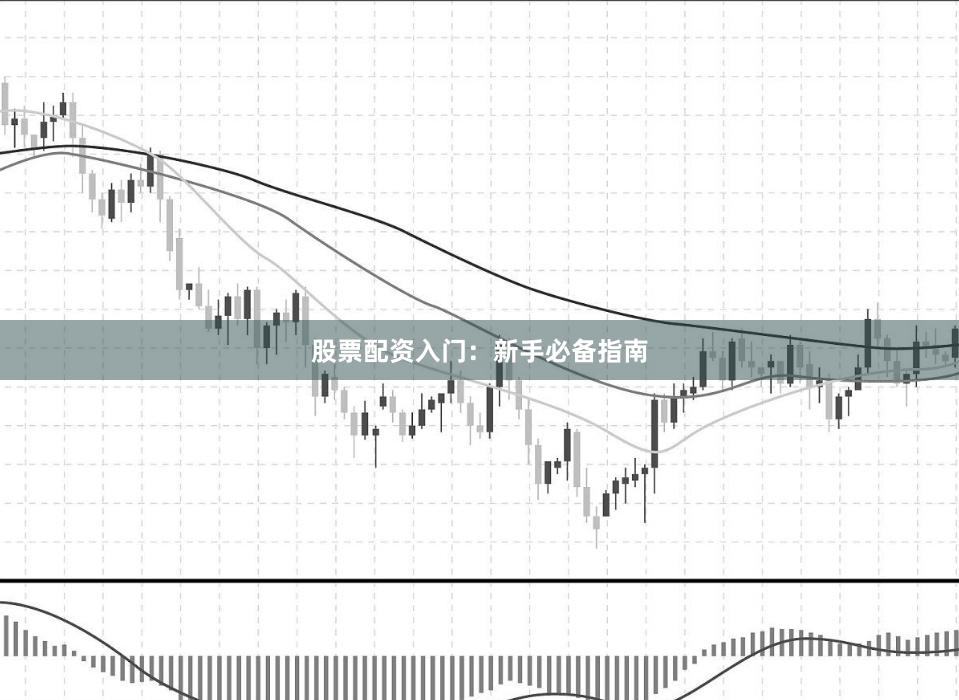 股票配资入门:新手必备指南