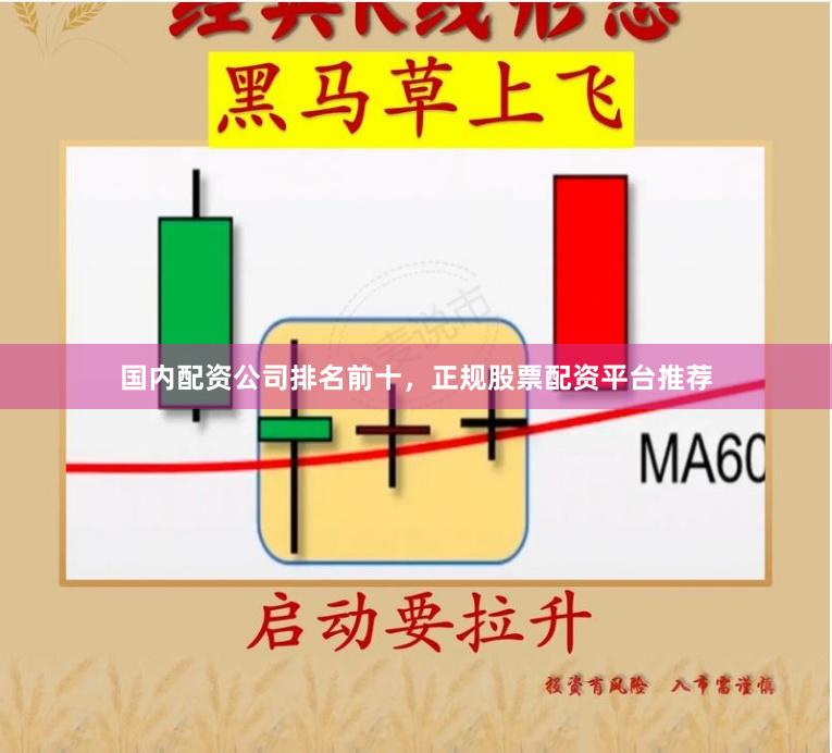 国内配资公司排名前十，正规股票配资平台推荐