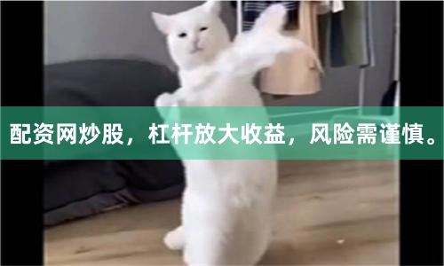 配资网炒股，杠杆放大收益，风险需谨慎。