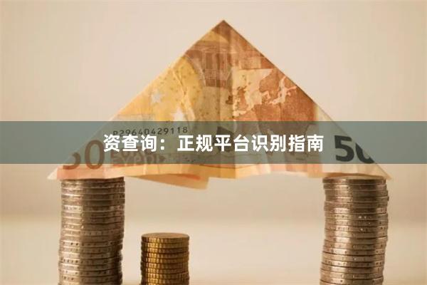 资查询：正规平台识别指南